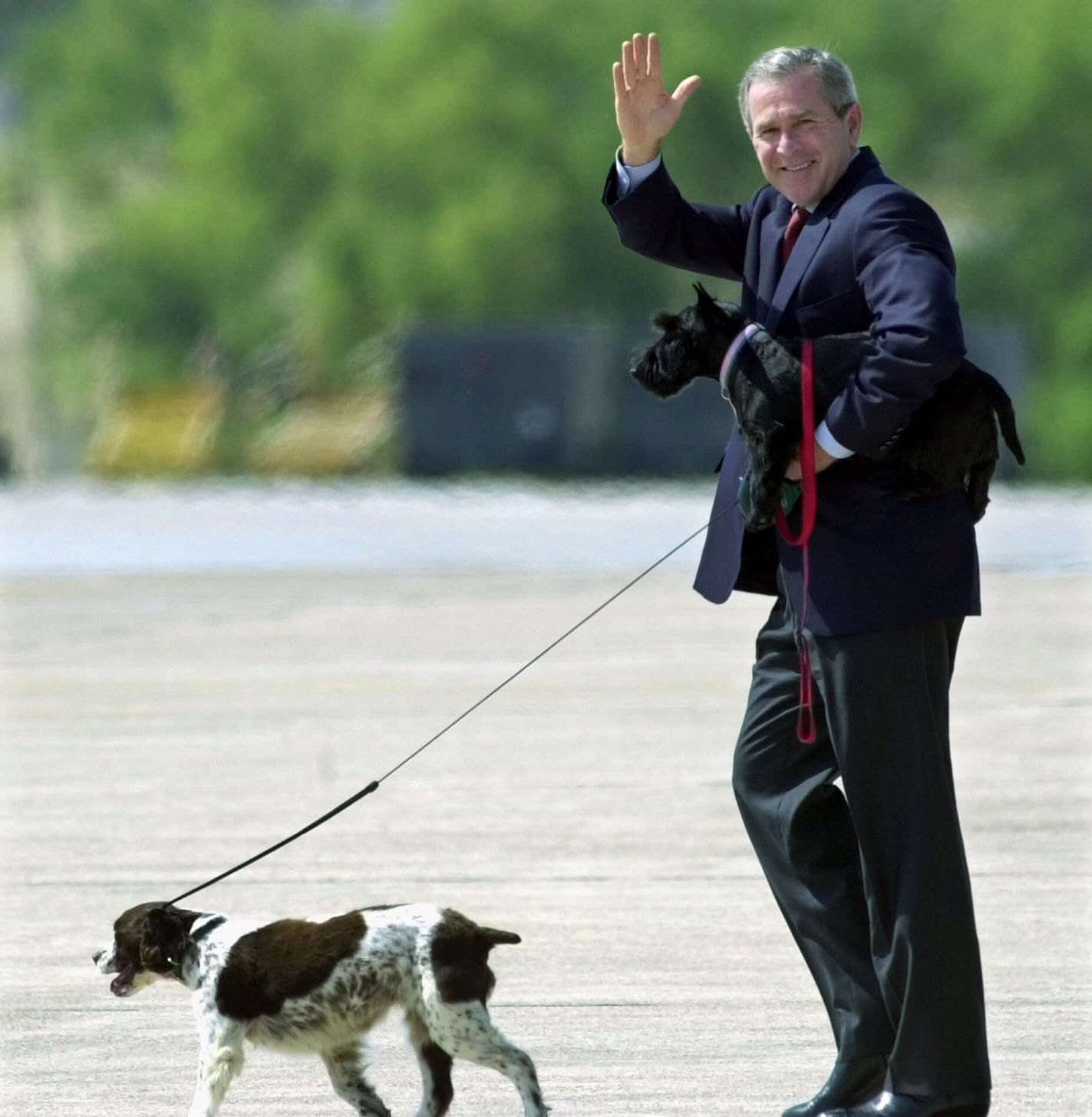 2001, Spot and Barney